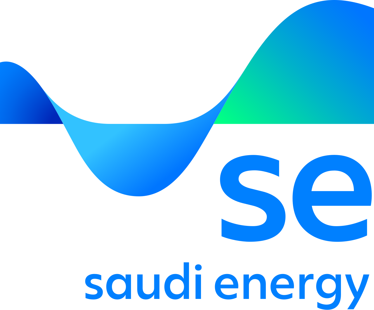 Saudi Electricity Company