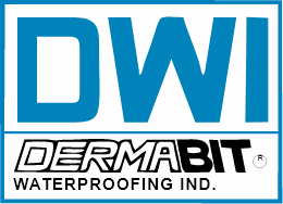 DWI